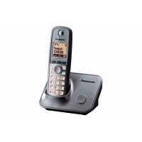 Panasonic KX-TG6611SPM